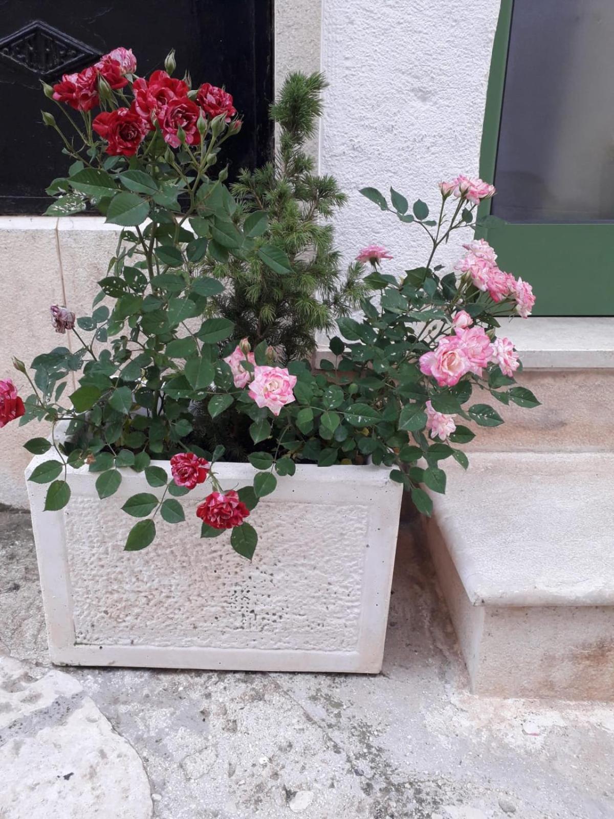 Vila Le Chianche Ceglie Messapica Exteriér fotografie